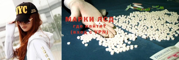 хмурый Абаза