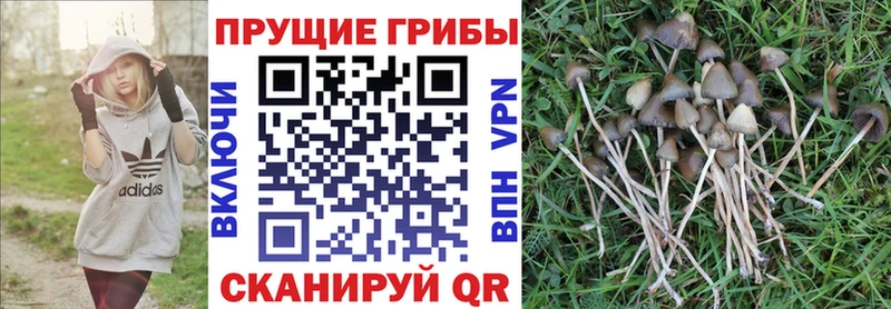Галлюциногенные грибы Magic Shrooms  Орёл 